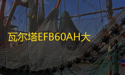 瓦尔塔EFB60AH大众朗逸plus新宝来POLO捷达新桑塔纳原装启停电瓶