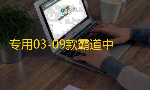 专用03-09款霸道中网改装 普拉多中网饰条亮条装饰 配件 彩条