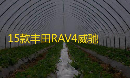 15款丰田RAV4威驰花冠卡罗拉雷凌逸致雅力士原装电瓶瓦尔塔蓄电池